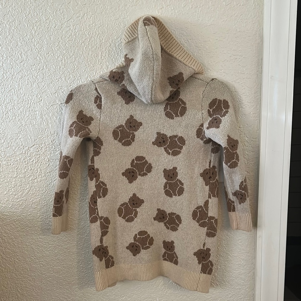 Cozy Bear Patterned Hooded Sweater